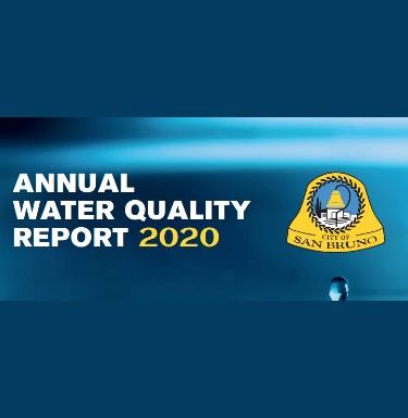 Annual Water Quality Report 2020
