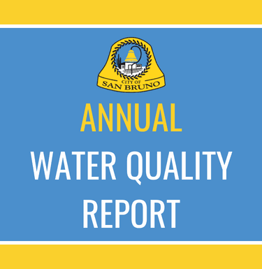 Annual Water Quality Report