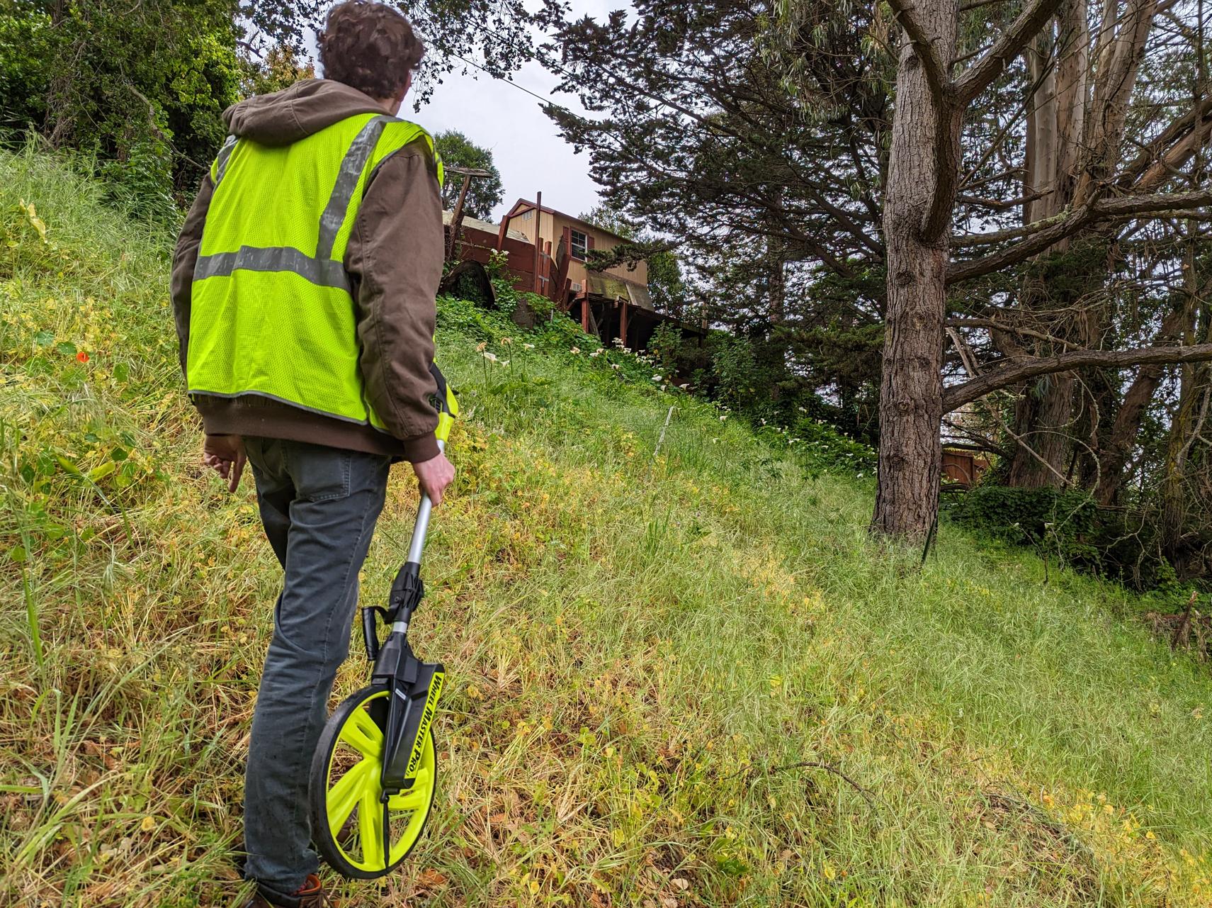 Image of staff walking up hillside to inspect